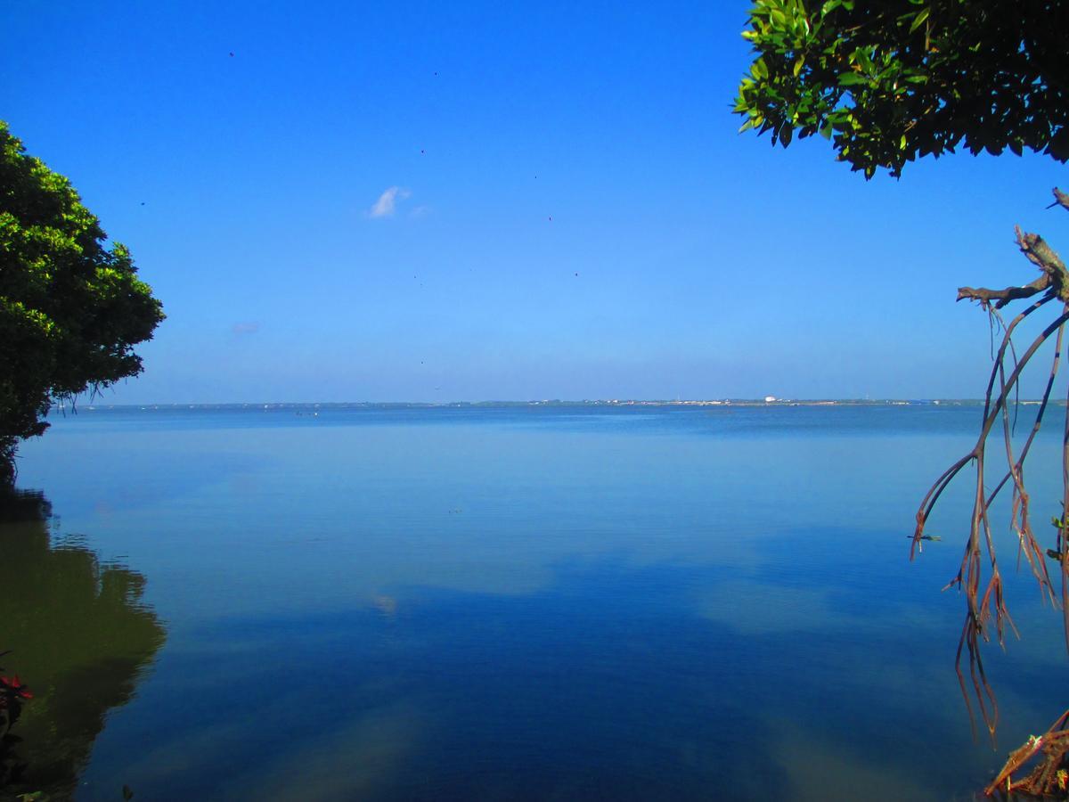 Nico Lagoon Hotel Негомбо Экстерьер фото