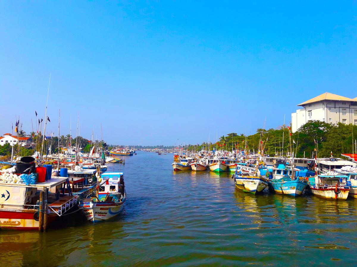 Nico Lagoon Hotel Негомбо Экстерьер фото